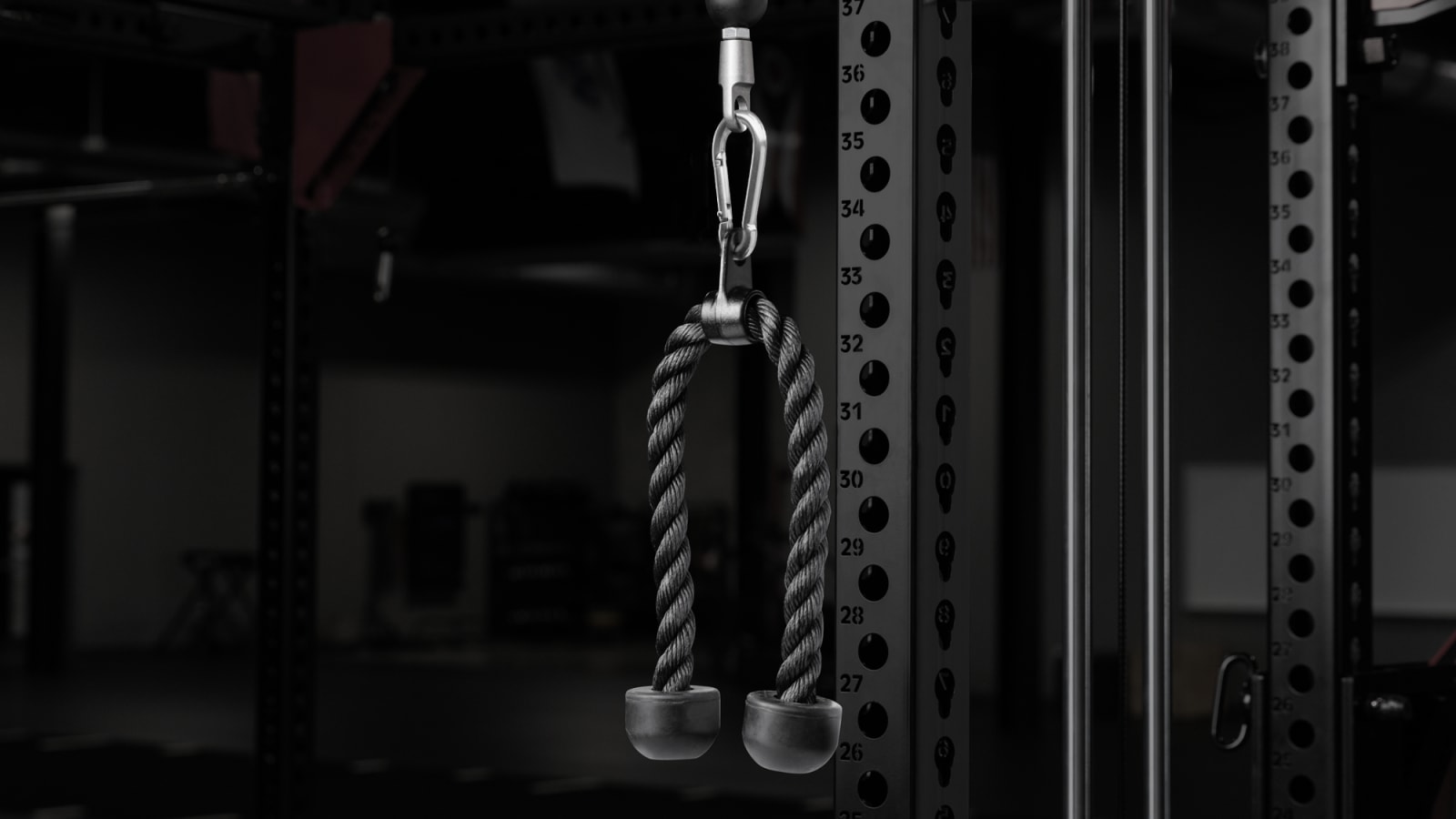 Tricep Rope Attachment | Rogue Fitness